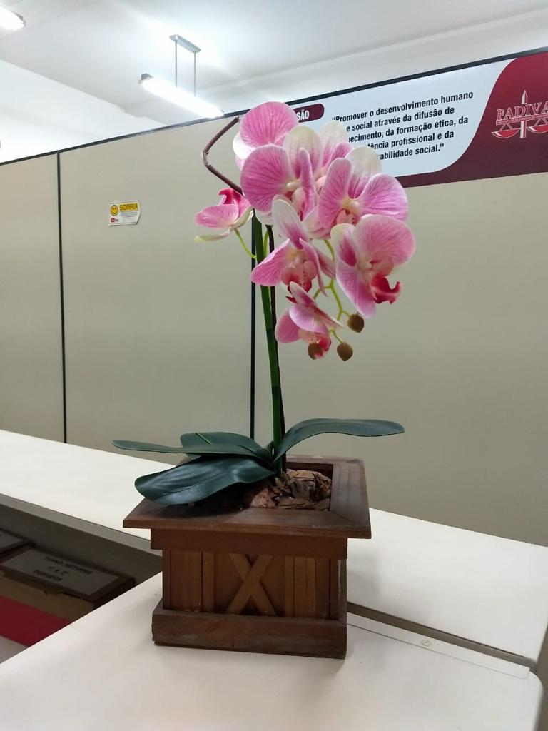 Biblioteca 1