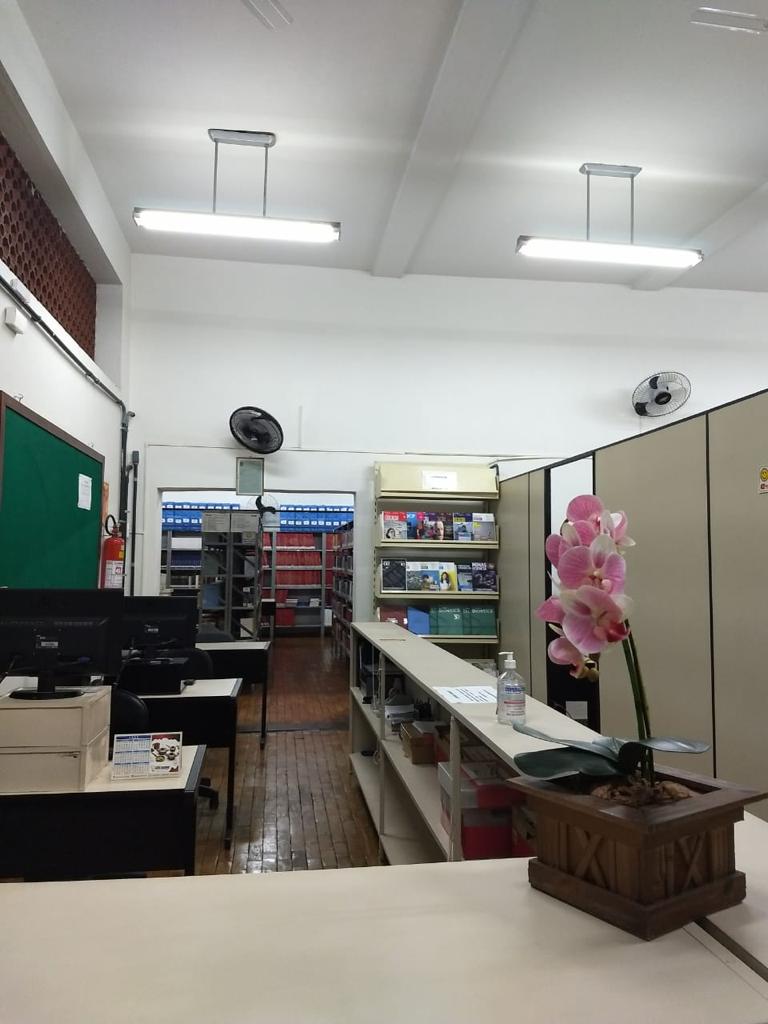 Biblioteca 2