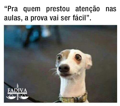 meme provas fadiva